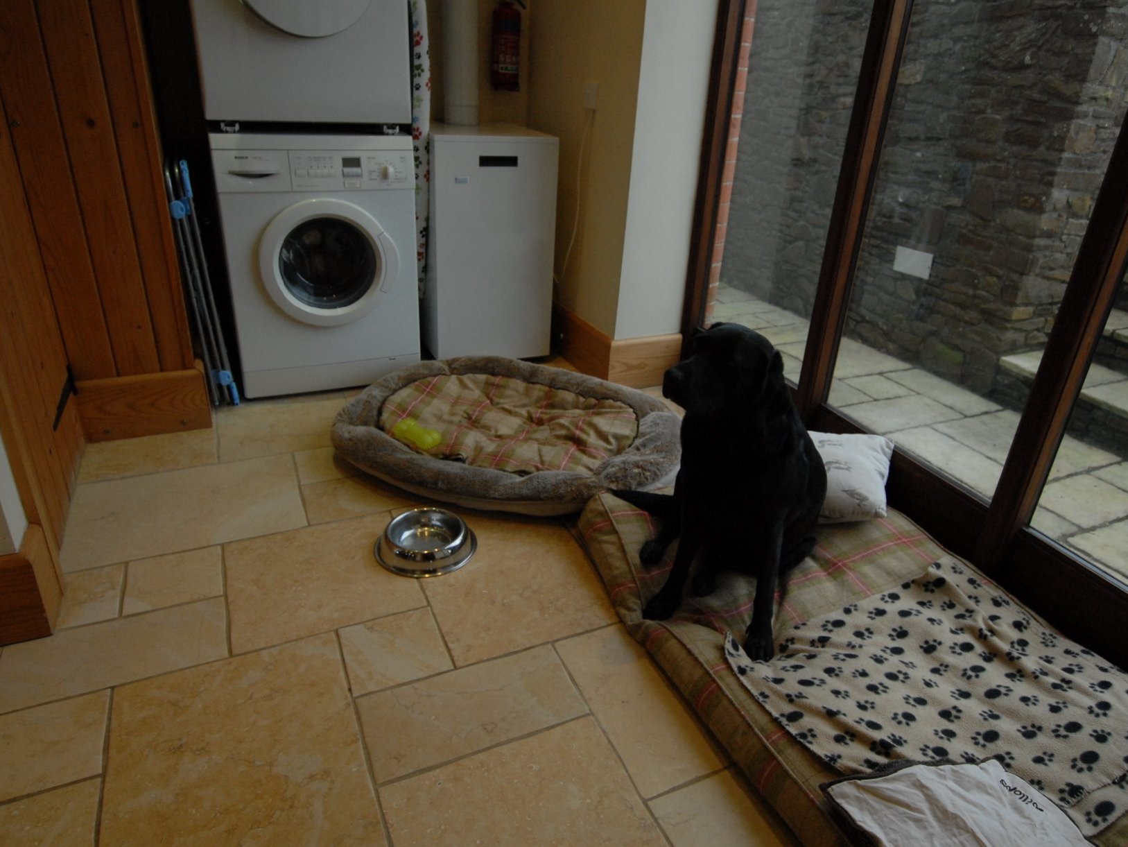 Dog Friendly accommodation North Devon